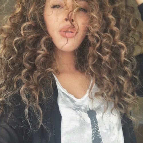 Curls And Blonde Highlights Hairstyles (Photo 10 of 20)