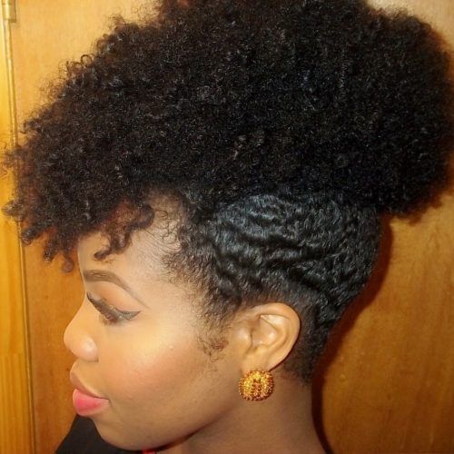 Natural Curly Updo Hairstyles (Photo 8 of 15)