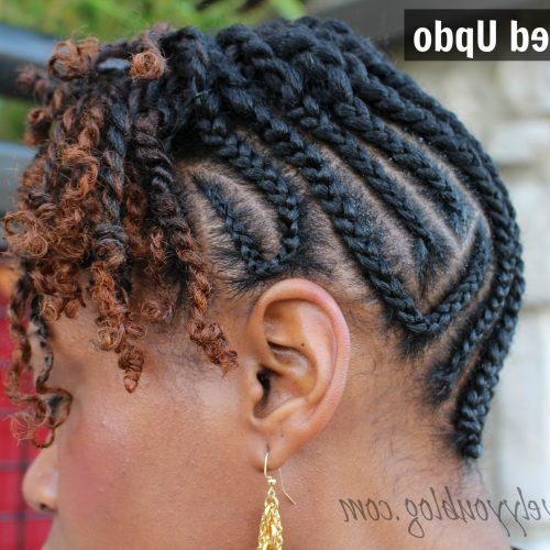 Natural Twist Updo Hairstyles (Photo 9 of 15)