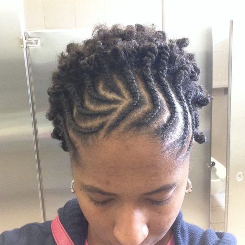 Natural Cornrows And Twist Hairstyles (Photo 10 of 15)