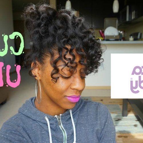 Natural Curly Updo Hairstyles (Photo 5 of 15)