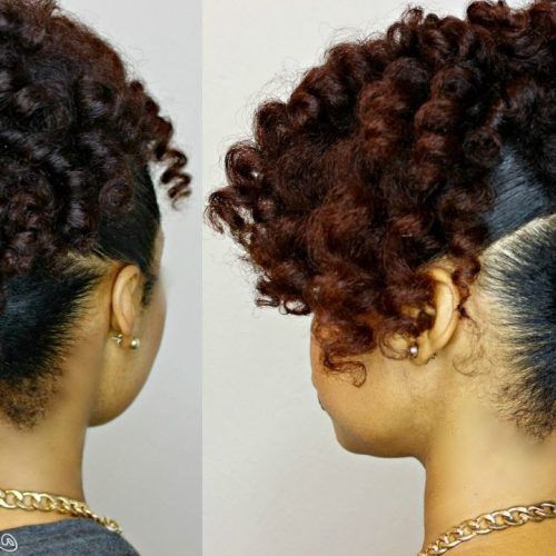 Natural Curly Updo Hairstyles (Photo 10 of 15)