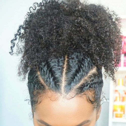 Naturally Curly Braided Hairstyles (Photo 13 of 20)