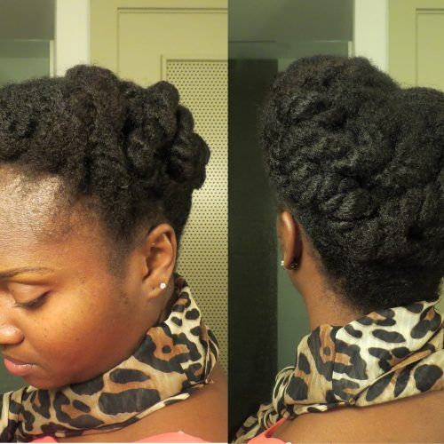 Chunky Twist Updo Hairstyles (Photo 1 of 15)