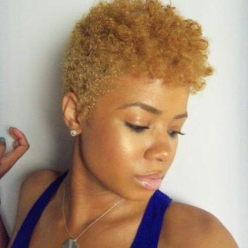 Short Hairstyles For Natural Black Hair (Photo 13 of 20)