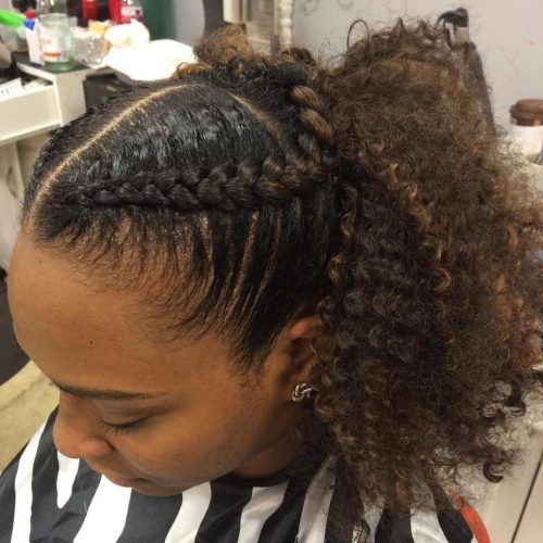 Reverse French Braids Ponytail Hairstyles With Chocolate Coils (Photo 1 of 20)