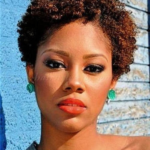 Short Haircuts For Natural African American Hair (Photo 2 of 20)