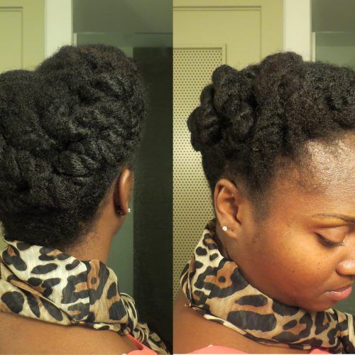 Chunky Twist Updo Hairstyles (Photo 15 of 15)
