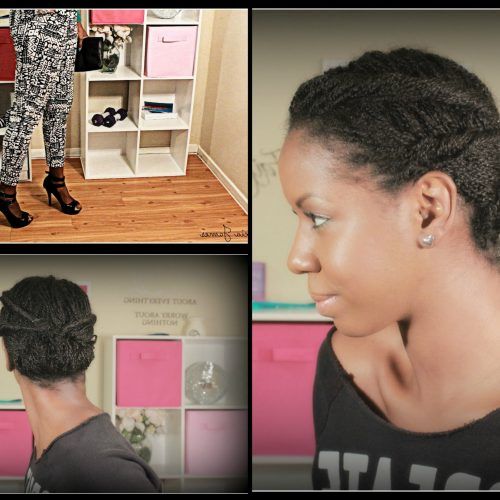 2 Strand Twist Updo Hairstyles (Photo 14 of 15)