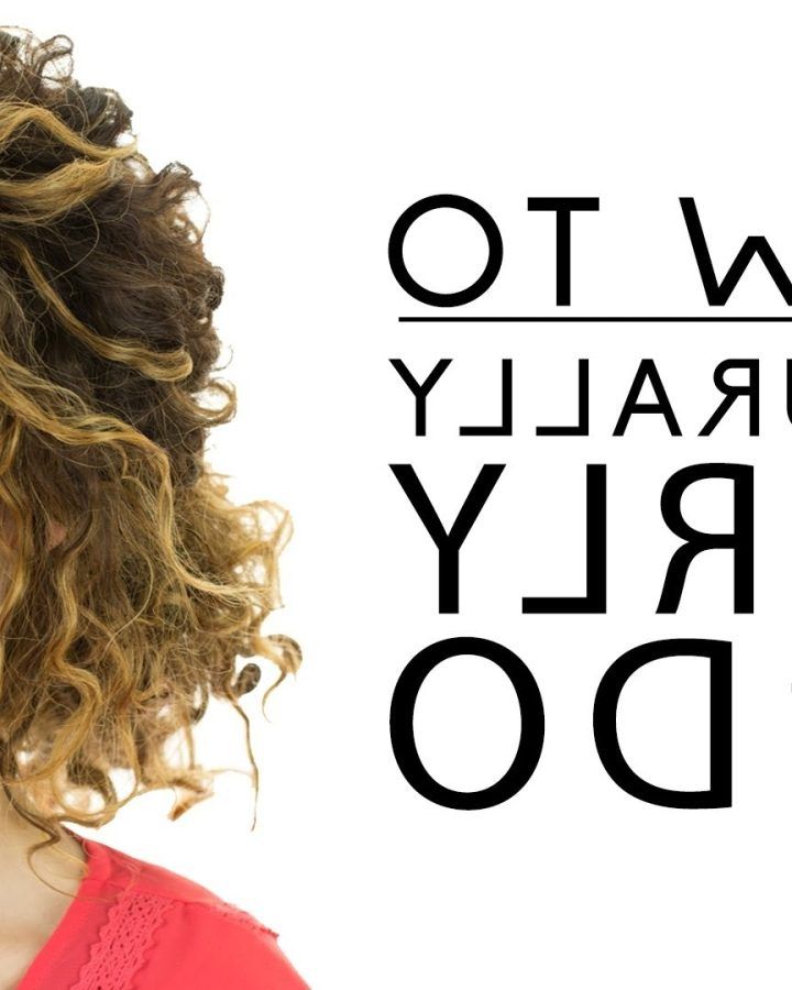 15 Collection of Hair Updos for Curly Hair