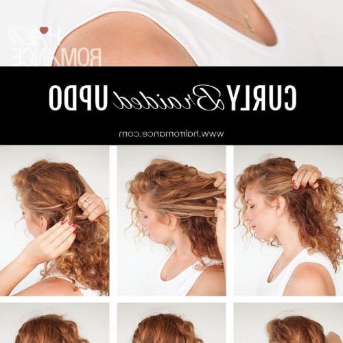 Quick Braided Updo Hairstyles (Photo 15 of 15)