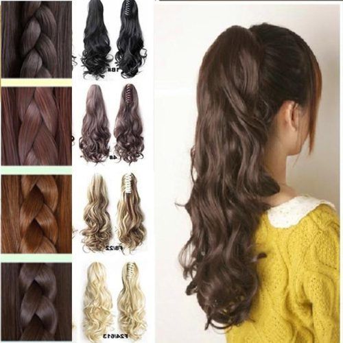 Hair Clips For Thick Long Hairstyles (Photo 14 of 15)