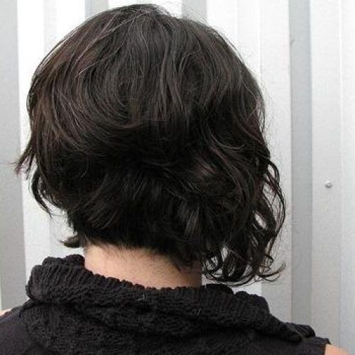 Asymmetrical Bob Hairstyles Back View (Photo 13 of 15)
