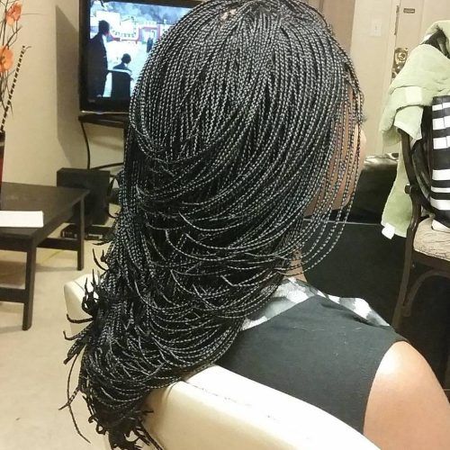 Black Twists Micro Braids With Golden Highlights (Photo 8 of 20)