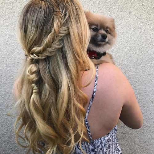 Braid Hairstyles For Long Hair (Photo 11 of 15)