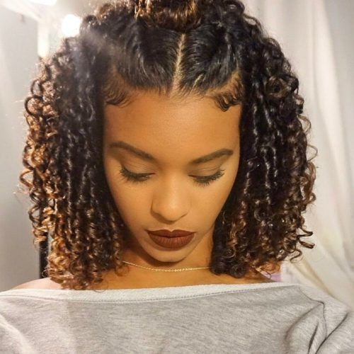 Braided Hairstyles On Curly Hair (Photo 4 of 15)