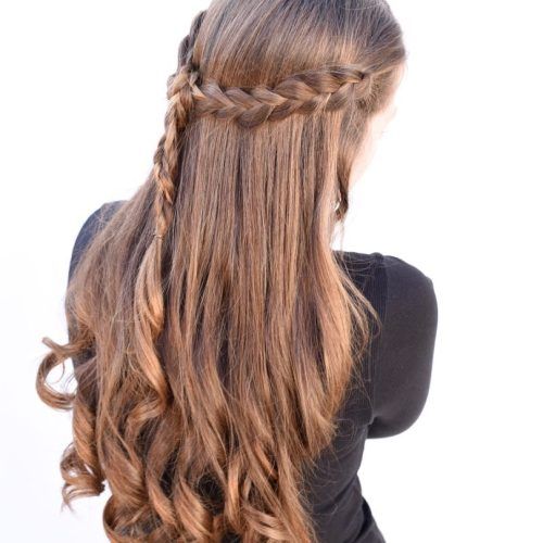 Braided Half-Up Hairstyles For A Cute Look (Photo 6 of 20)