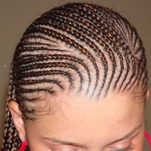 Braided Lines Hairstyles (Photo 9 of 15)