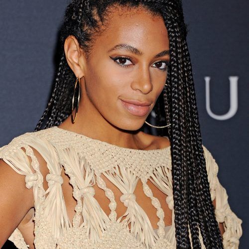 Centre Parted Long Plaits Braid Hairstyles (Photo 10 of 20)