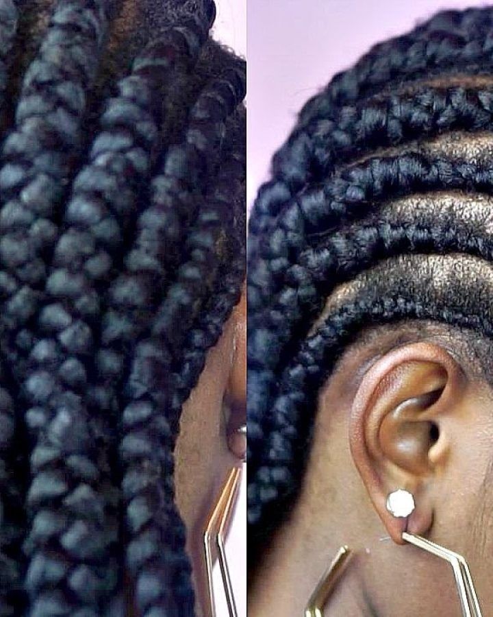 2024 Latest Cornrows Hairstyles for Short Hair