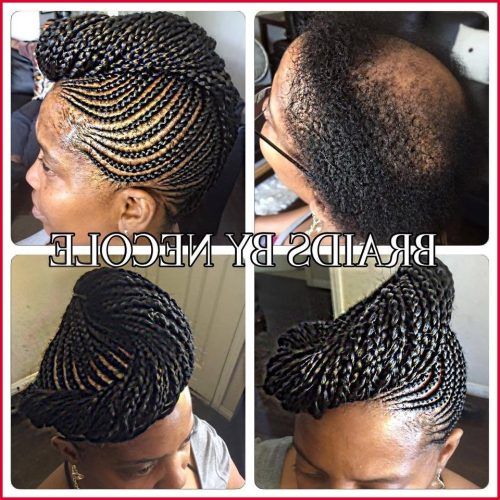 Cornrows Hairstyles With No Edges (Photo 7 of 15)
