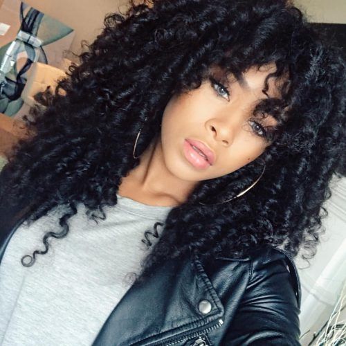Curly Hairstyle With Crochet Braids (Photo 1 of 15)