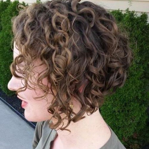 Curly Inverted Bob Hairstyles (Photo 8 of 15)