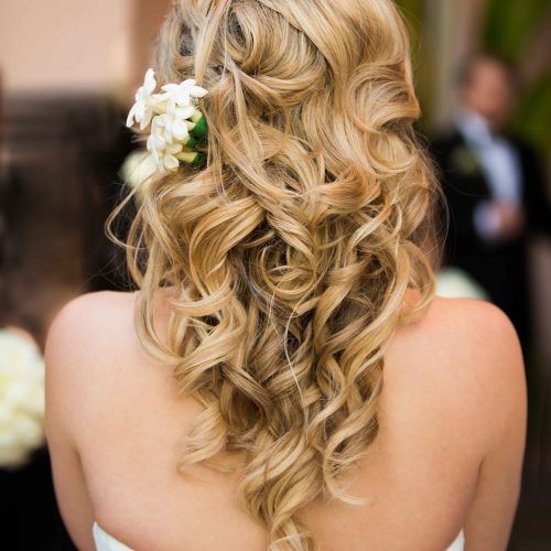 Hairstyles For Long Hair For A Wedding Party (Photo 10 of 15)