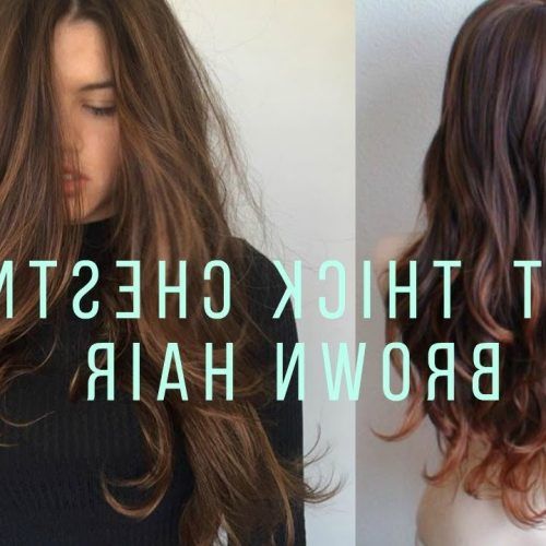 Long Chestnut Brown Shag Hairstyles (Photo 15 of 20)