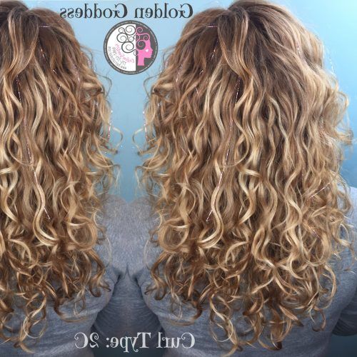 Painted Golden Highlights On Brunette Curls Hairstyles (Photo 15 of 20)