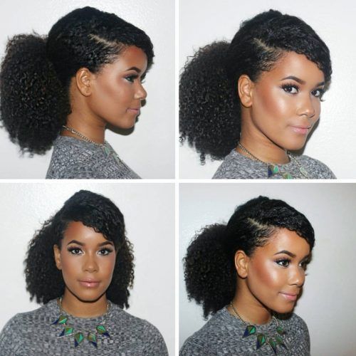 Pony Hairstyles For Natural Hair (Photo 6 of 20)