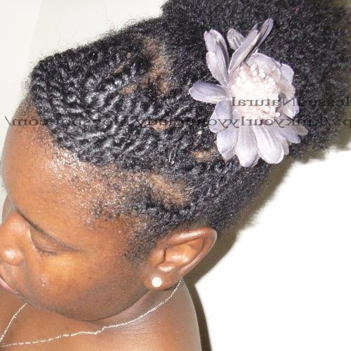 Reverse Flat Twists Hairstyles (Photo 12 of 15)