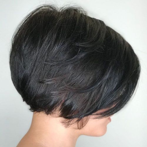Rounded Short Bob Hairstyles (Photo 16 of 20)