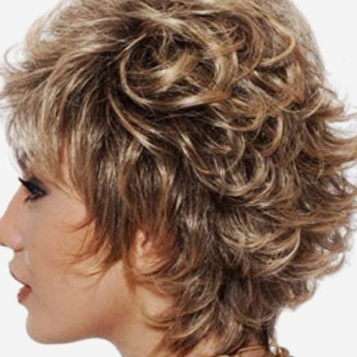 Short Shaggy Curly Hairstyles (Photo 1 of 15)