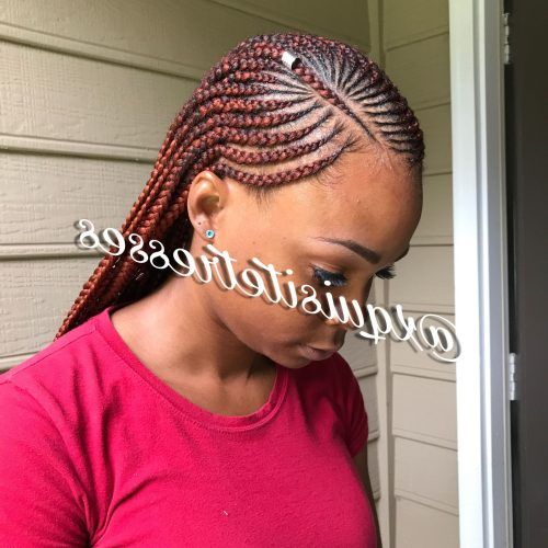 Small Cornrows Hairstyles (Photo 13 of 15)