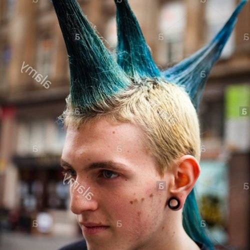 Spikey Mohawk Hairstyles (Photo 12 of 20)