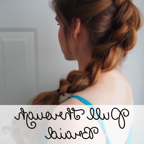 Thick And Luscious Braid Hairstyles (Photo 15 of 20)