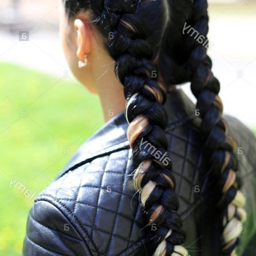 Thick And Thin Braided Hairstyles (Photo 10 of 20)