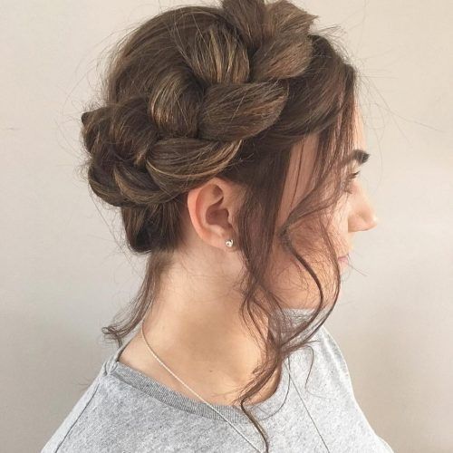 Updo Braided Hairstyles (Photo 9 of 15)