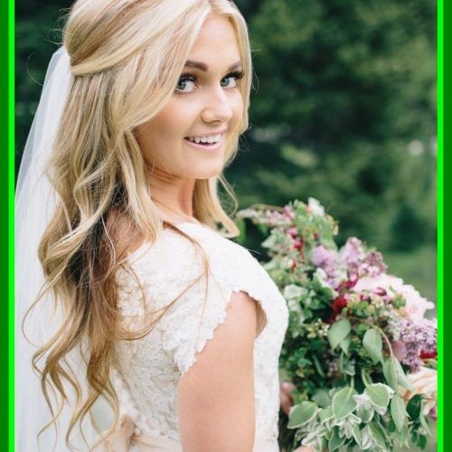 Wedding Hairstyles For Long Hair Half Up With Veil (Photo 15 of 15)