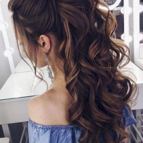 Wedding Hairstyles With Long Hair (Photo 9 of 15)