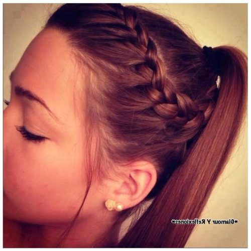 Fantastical French Braid Ponytail Hairstyles (Photo 10 of 20)