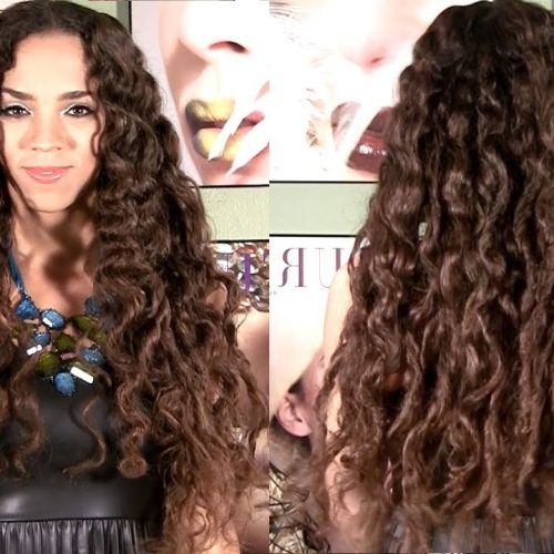 Braided Hairstyles With Curls (Photo 13 of 15)
