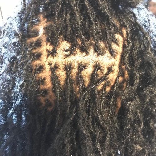 Zebra Twists Micro Braid Hairstyles (Photo 17 of 20)