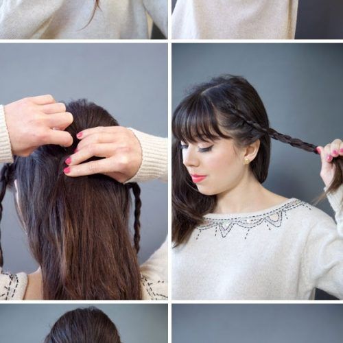 Ponytail And Lacy Braid Hairstyles (Photo 17 of 20)