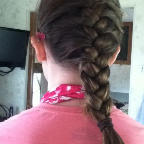 Defined French Braid Hairstyles (Photo 17 of 20)