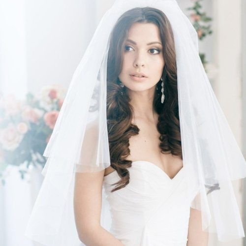 Bride Hairstyles For Long Hair With Veil (Photo 8 of 15)