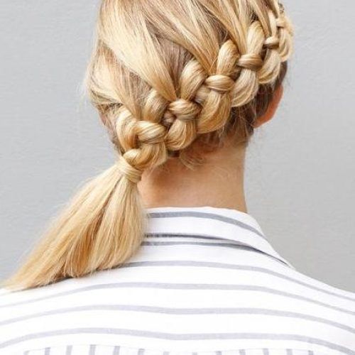 Long Hairstyles Braids (Photo 8 of 15)
