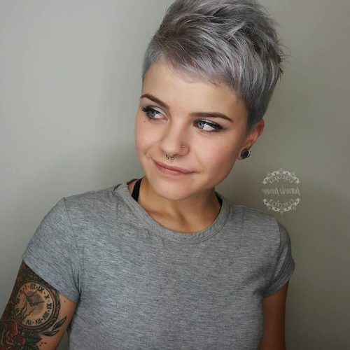 Voluminous Gray Pixie Haircuts (Photo 4 of 20)