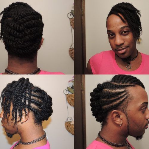 Pinned Up Braided Hairstyles (Photo 7 of 15)
